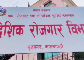 दुई म्यानपावर कम्पनी निलम्बित