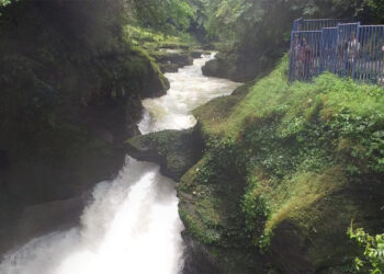 पातले छाँगोको व्यवस्थापनमा महानगरको चासो
