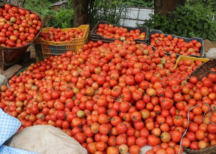 धनकुटा सदमुकामको बजारमा प्रतिकिलो १ सय २० रुपैयाँ महंगाे