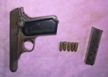 पेस्तोल चोरी गरेको आरोपमा दुई जना पक्राउ