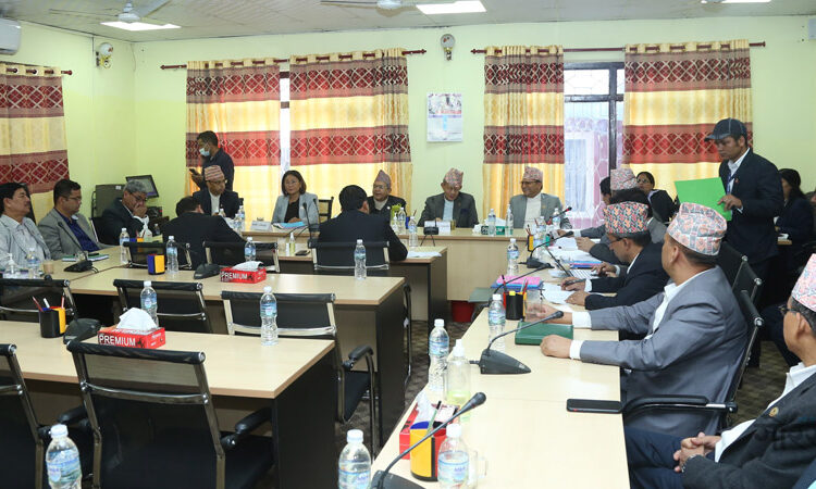 उजुरी माग गर्ने सूचना प्रकाशन तथा प्रसारण गर्न समिति सचिवलाई निर्देशन