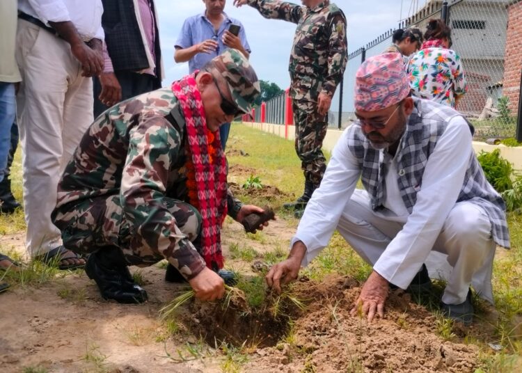 नरैनापुरमा बृहत् वृक्षारोपण कार्यक्रम सम्पन्न