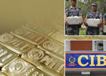 सुन तस्करी प्रकरणमा थप एक पक्राउ