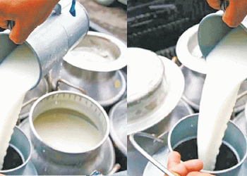 दुग्ध उत्पादक किसानलाई उत्पादनको आधारमा नगद अनुदान वितरण