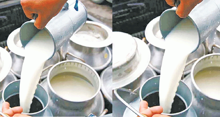 दुग्ध उत्पादक किसानलाई उत्पादनको आधारमा नगद अनुदान वितरण