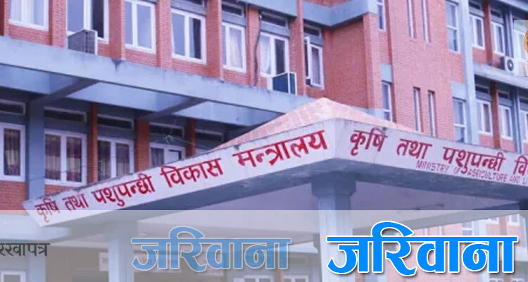 अखाद्य बस्तु विक्री गर्ने भिम स्टोरलाई दुई लाख जरिवाना