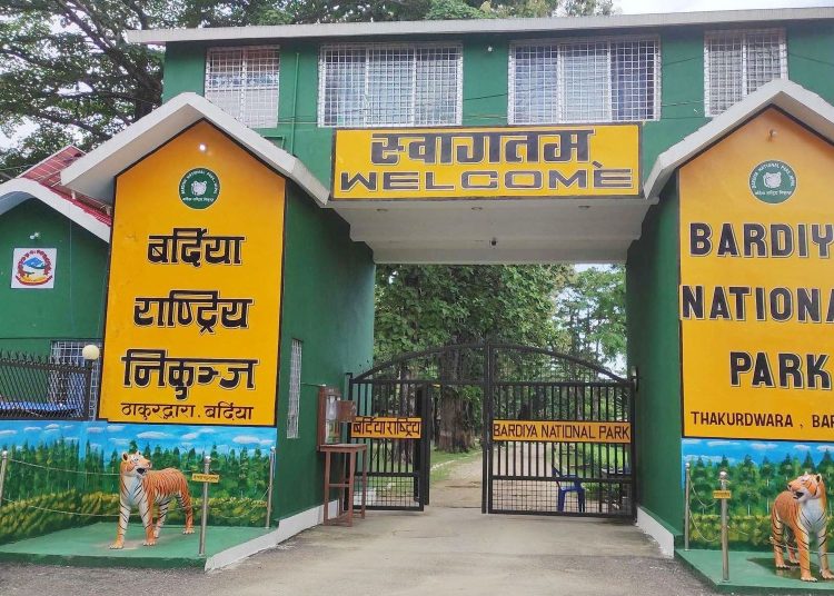 एक घाइते पाटे बाघलाई नियन्त्रणमा लिएर उद्धार