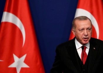 द्वन्द्वपछिको गाजा स्वतन्त्र प्यालेस्टाइन राज्यको हिस्सा हुनुपर्छ : एर्दोआन