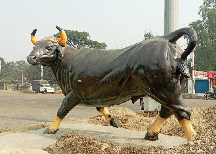 राँगाको प्रतिमा राखिएको भन्दै विरोध