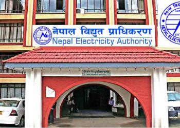 थप ४६ वटा उद्योगको बिजुली काट्ने विद्युत् प्राधिकरणको तयारी