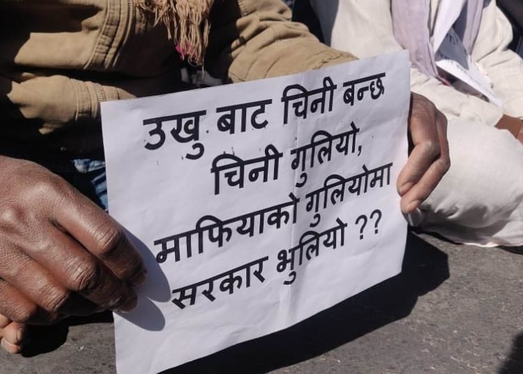 रकम भुक्तानीको माग राख्दै सर्लाहीका उखु किसान आन्दोलित