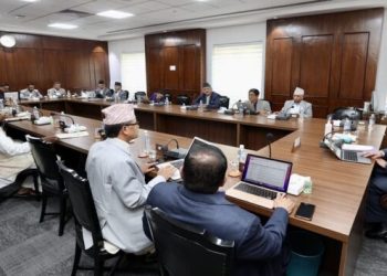 एनसेलकोशेयर खरिद-बिक्रीको निर्णयबारे अध्ययन गर्न उच्चस्तरीय समिति गठन