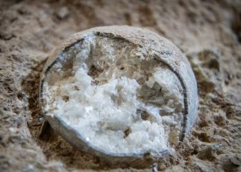 चीनमा तीनवटा क्रिस्टलाइज्ड डायनासोरको अण्डा फेला