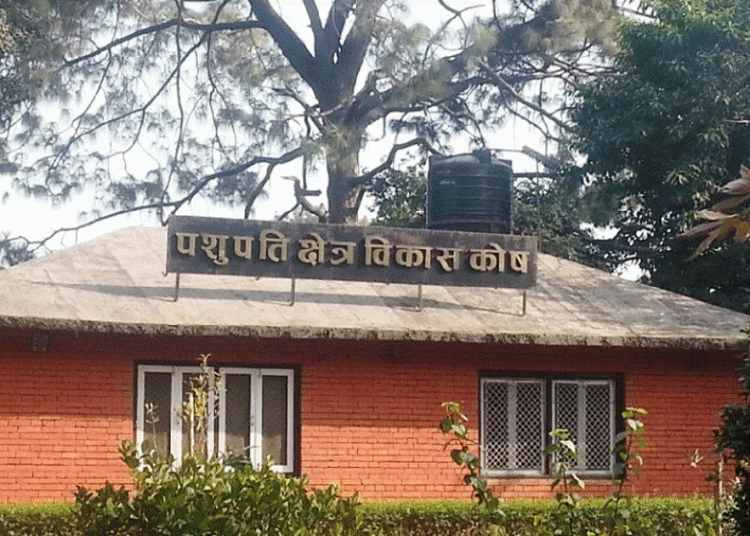 लिच्छविकालीन मण्डल उत्खनन