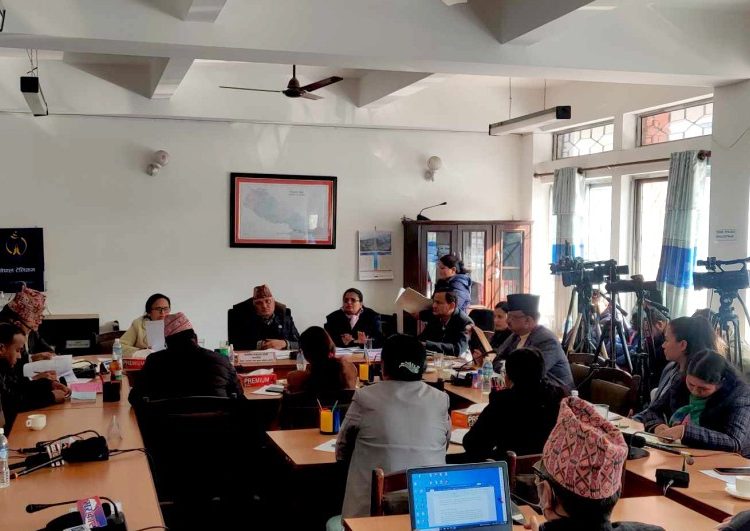 टेरामक्ससँगै एमडीएमएसको पनि छानबिन सुरु