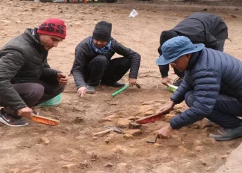 प्राचीन तिलौराकोटमा उत्खनन सुरु