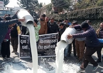 ललितपुर जिल्ला प्रशासन कार्यालयमा अगाडि दूध पोखेर प्रदर्शन