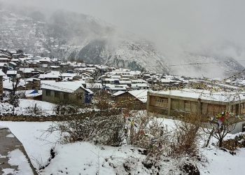 हिउँदे वर्षा भएपछि किसान हर्षित