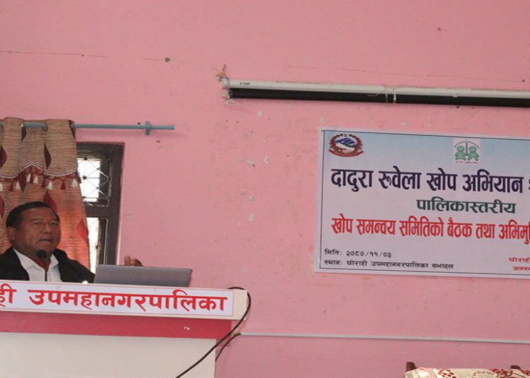 ६४ हजार बढी बालबालिकालाई दादुरा-रुवेला रोग विरुद्धको खोप लगाइने