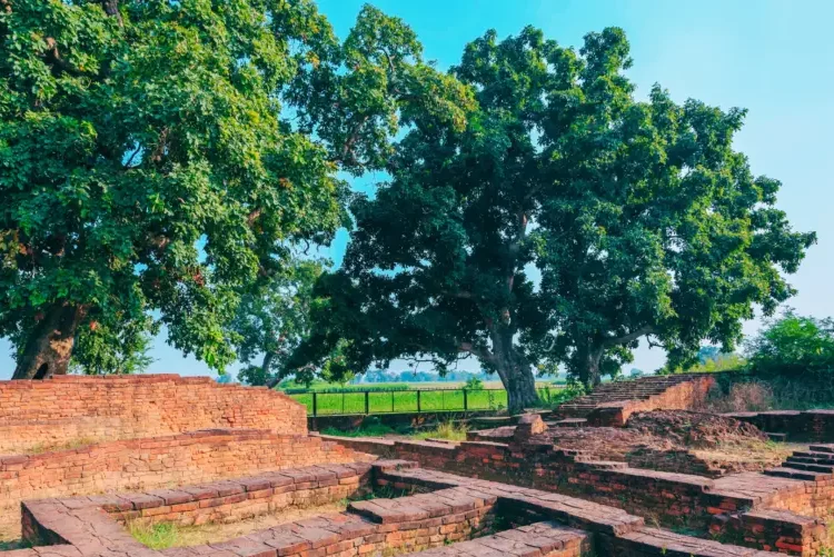 तिलौराकोटस्थित पूर्वी विहार क्षेत्रमा छ्योरतेन भेटियो