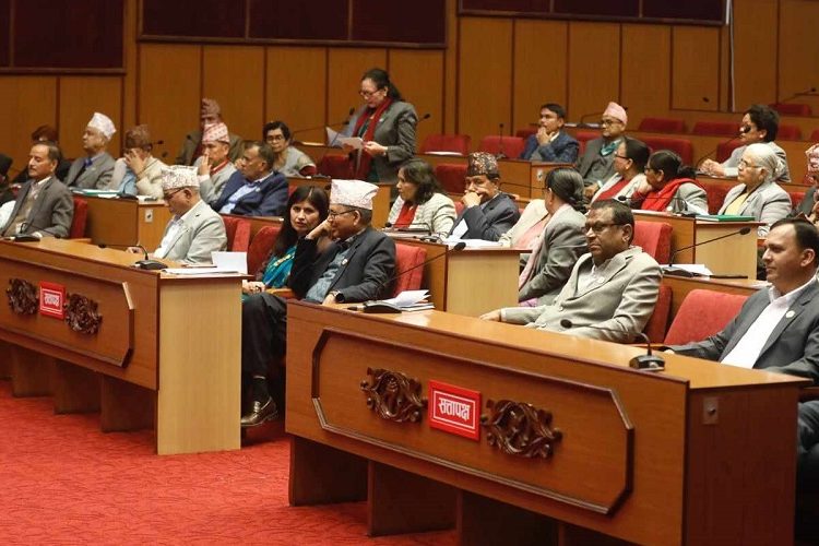 सरकारलाई अधिकार प्रत्यायोजन नगरेको भन्दै आलोचना