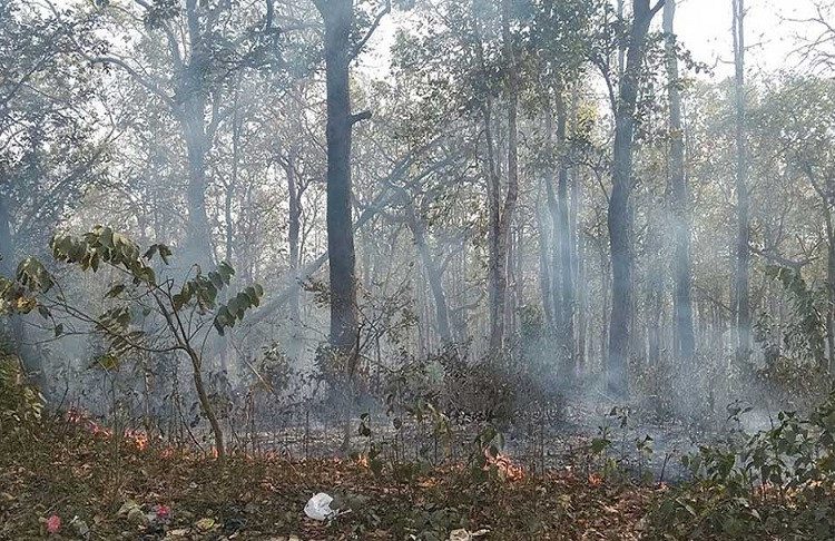 आगोमा परेर तीन जना बालक घाइते