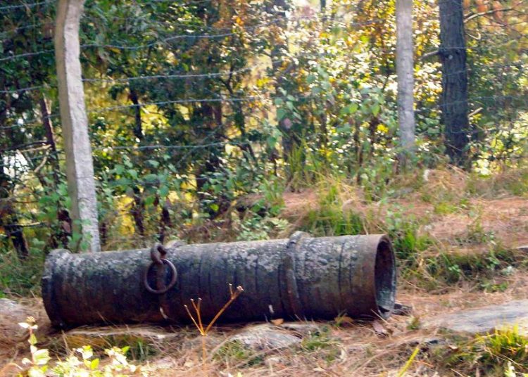 ऐतिहासिक तोप संरक्षणमा स्थानीय सरकार