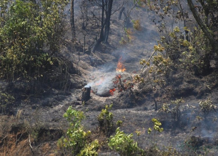 गोदावरीकाे आनन्द वनमा आगाे निभाउने क्रममा दुई स्थानीयको मृत्यु
