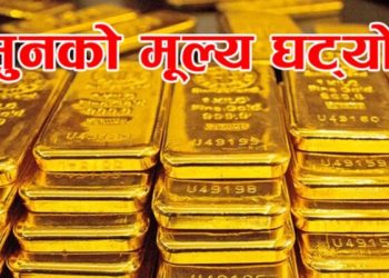 दश वर्षमा १० हजार मेगावाट विद्युत् निर्यात गर्दैछौँ : प्रधानमन्त्री प्रचण्ड