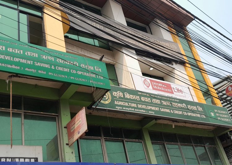 स्थानीय सरकारवाट पहिलोपटक जनताको बचत फिर्ता नगरेकामा कृषि विकासलाई समस्याग्रस्त सहकारी घोषणा
