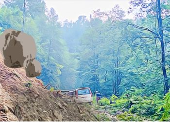 पहिरोमा पुरिएर दुई दम्पतीको मृत्यु