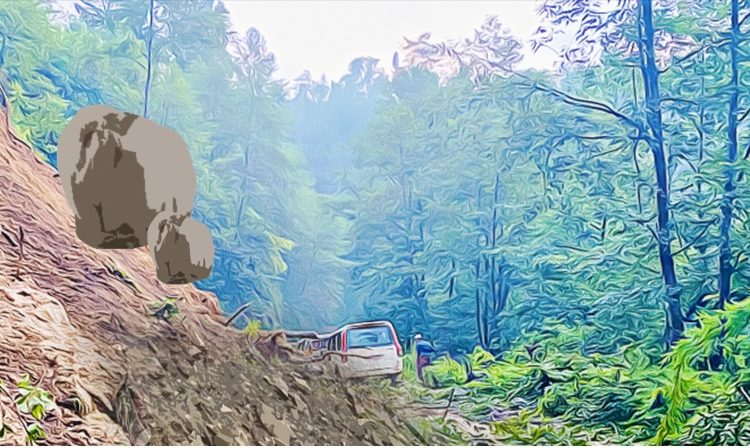 पहिरोमा पुरिएर दुई दम्पतीको मृत्यु