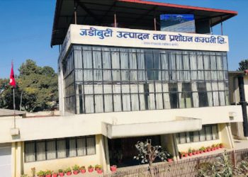 देशमा उत्पादित जडीबुटीको  बजारीकरण गर्नुपर्नेमा जोड