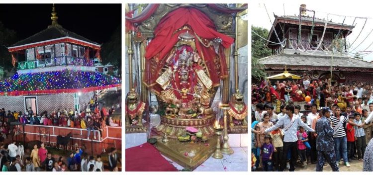 पाल्पामा आज भगवती रथजात्रा निकालिँदै