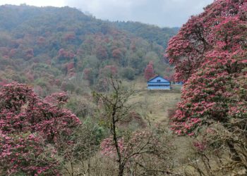 घोरेपानीमा दुई स्पेनिस पर्यटक बेपत्ता