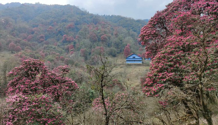 घोरेपानीमा दुई स्पेनिस पर्यटक बेपत्ता