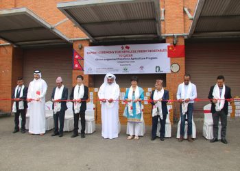 नेपालमा उत्पादित हरियाे तरकारी कतारमा निर्यात सुरु