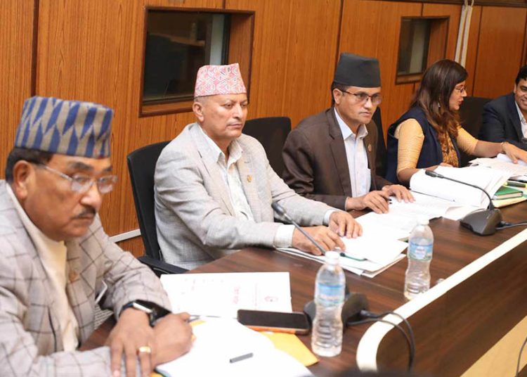 सहकारी रकम दुरुपयोग सम्बन्धमा प्रतिवेदन पेस