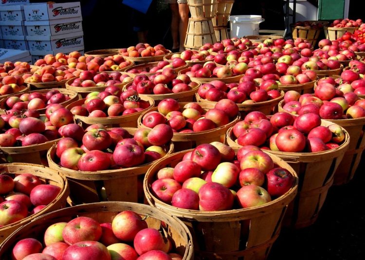 नेपालकाे स्याउ भारतीय सिमानामा बिक्री