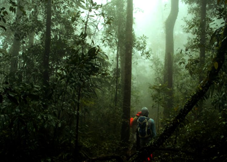 फुल्चोकी जंगलमा हराएका १३ जनाकाे सकुशल उद्धार
