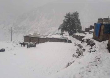 हिमपात भएपछि मनाङबासीमा खुशीयाली छायाे