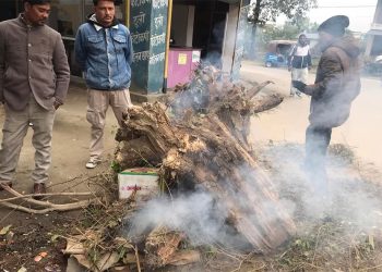 तराई क्षेत्रमा विगत पाँच दिनयता चिसो बढ्याे