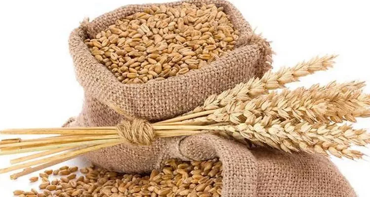 भारतबाट गहुँ आयात गर्न १० हजार मेट्रिक टनसम्मको आवेदन दिन सक्ने