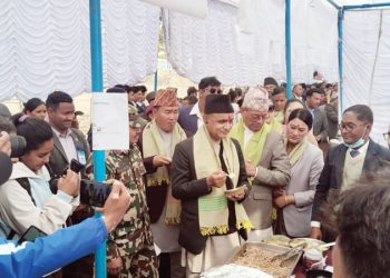 रैथाने बाली संरक्षण तथा संवर्धन गर्ने निर्णय : मन्त्रीपरिषद्