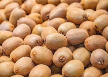 किवी प्रतिथोक मूल्य न्यूनतम ४ सय ८० रूपैयाँसम्म पुग्याे