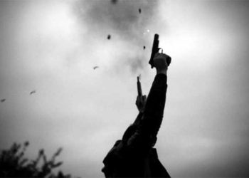 भन्सार छलीको सामान नियन्त्रणमा लिन खोज्दा हवाई फायर