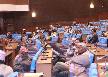 सांसदहरू न्युन संख्यामा संसद भवन पुगे