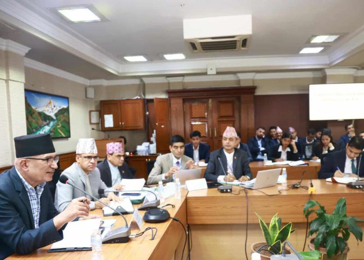 पूँजीगत खर्च गर्ने दायित्व सम्बन्धित मन्त्रालय भएकाे छ : उपप्रधानमन्त्री