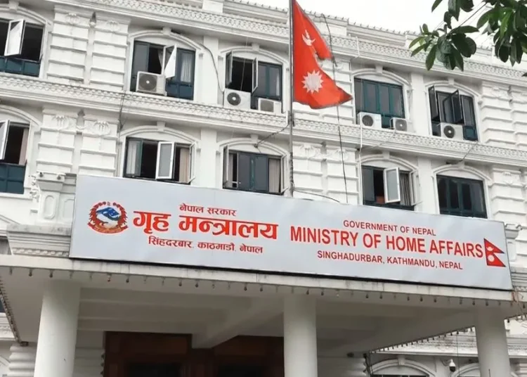 एआईजीमा बढुवा गर्न सिफारिस