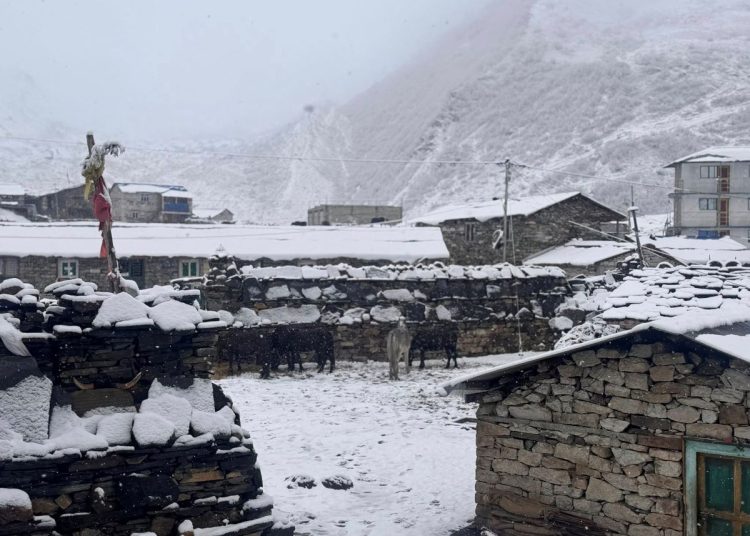 साम्दो क्षेत्रमा भारी हिमपात